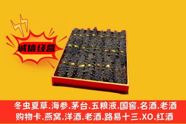 新龙县回收海参